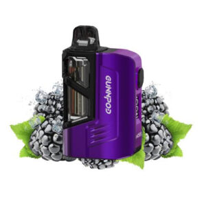 GUNNPOD MOSS BLACKBERRY ICE 8000 PUFFS