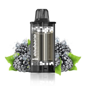 BLACKBERRY ICE POD ONLY 8000 PUFFS