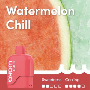WAKA SOMATCH WATERMELON CHILL 6000 PUFFS POD ONLE