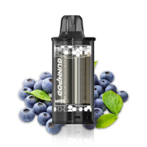 MR BLUE POD ONLY 8000 PUFFS