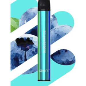IGET SHION BLUEBERRY ICE – 600 PUFFS