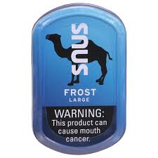 Buy Camel Snus Large Frost